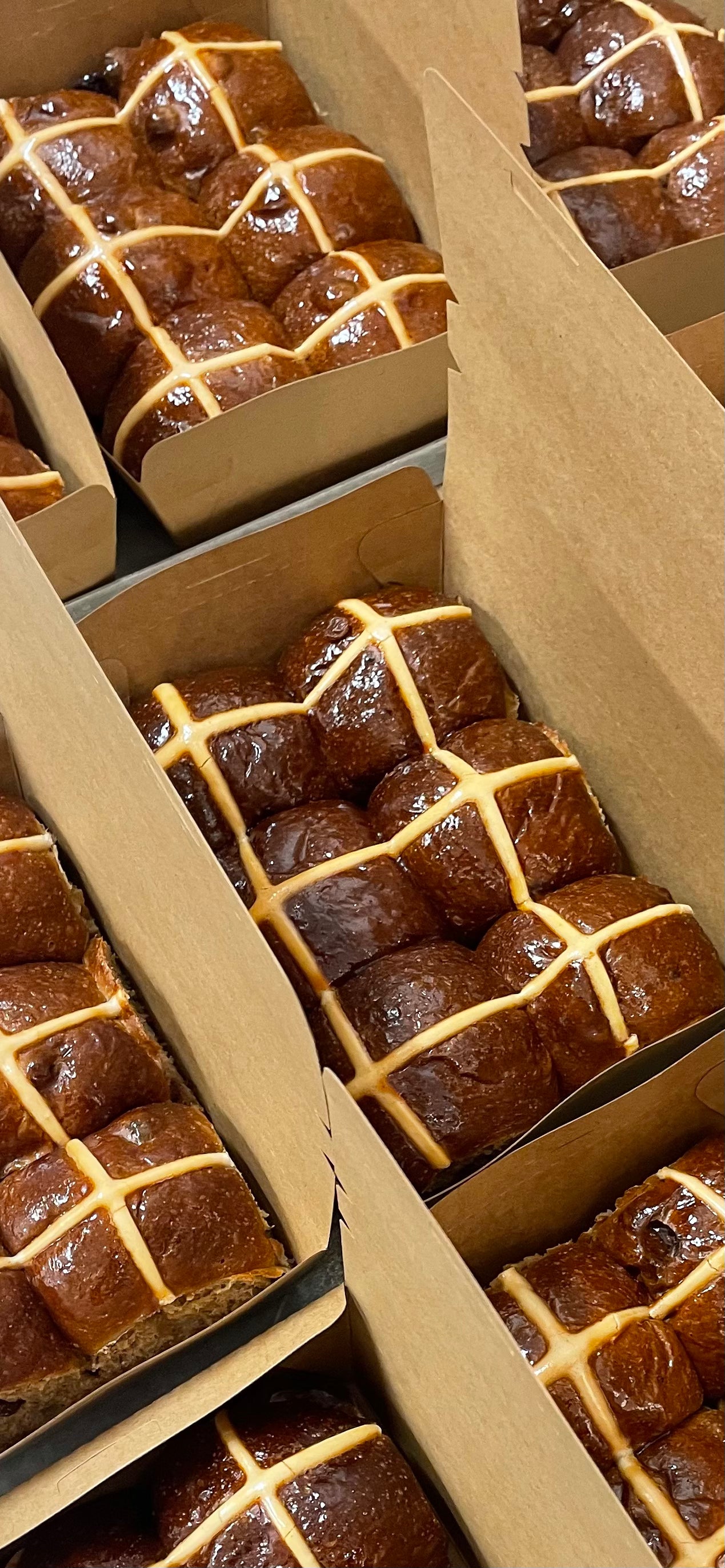 Hot Cross Bun 6 Pack